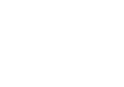 Gvs