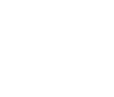 Ssb treuhand